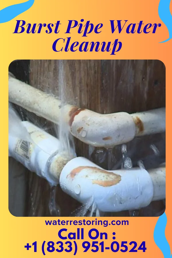 Burst Pipe Water Cleanup in Oak Ridge, MO