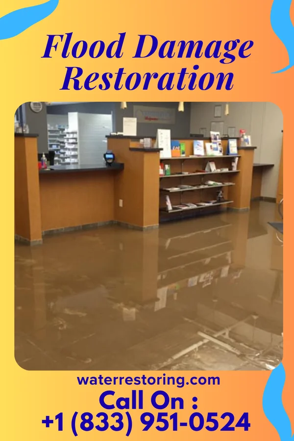 Flood Damage Restoration in Oak Ridge, MO