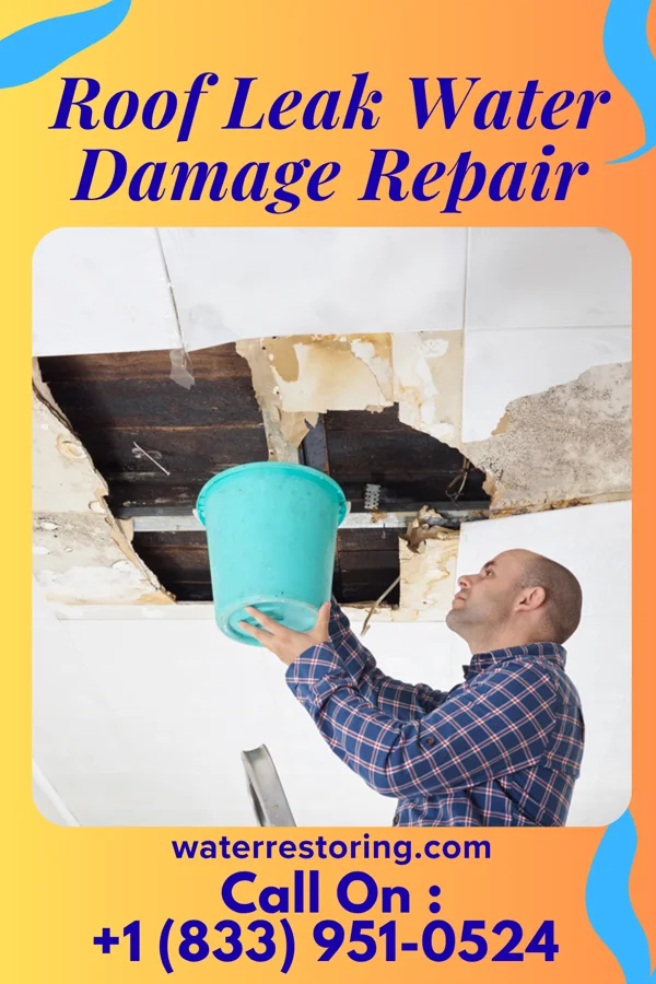 Roof Leak Water Damage Repair in Oak Ridge, MO
